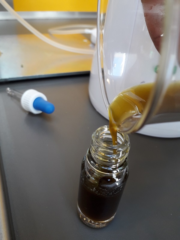 Versare l'olio di cannabis nel flacone della pipetta (2)