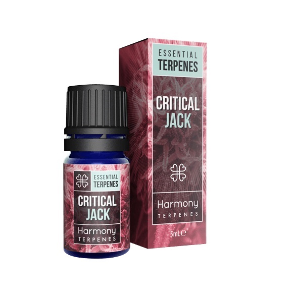 Terpenen extract van Harmony – Critical Jack – 5 ml